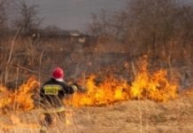 W tym roku już 40 tys. pożarów traw