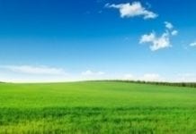 Słowacja wprowadzi ograniczenia obrotu ziemią rolniczą