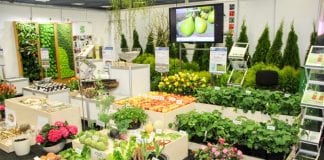 Green Days 2017