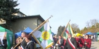 Największa gruszka Roku 2013
