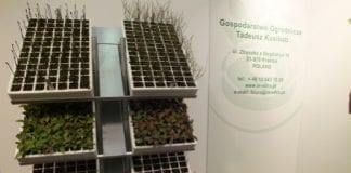 IPM 2013 – sadownictwo