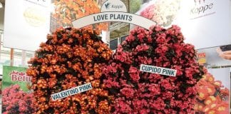 IPM Essen 2016