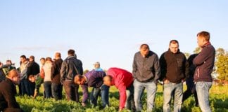 W Jegłowniku o marchwi