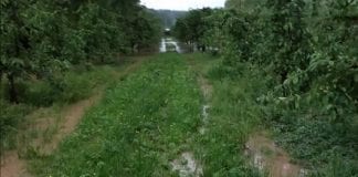 Podtopienia we wsi Zagrody gmina Wilczyce