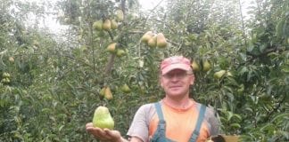 Konkurs „Twoje ogrodnicze fotore(we)lacje”, edycja VI