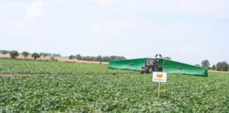 Dzień Ogórka Gruntowego