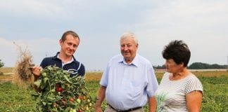 Kolekcja pomidorów u Wesołowskich