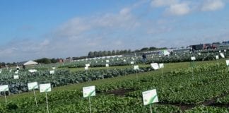 Dni Otwarte Monsanto