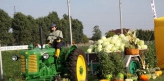 Dni Otwarte Bejo Zaden Polska