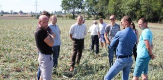 Dzień cebuli w Kruszy Duchownej