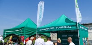 Na Letnich Pokazach Czereśniowych