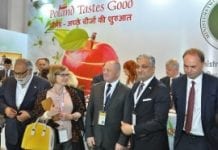 O polskiej żywności w Indiach