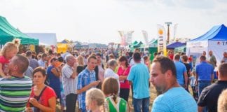 Małopolskie Święto Warzyw