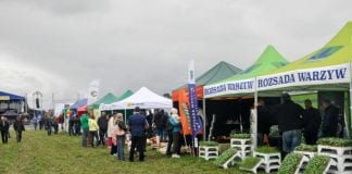 Małopolskie Święto Warzyw 2017