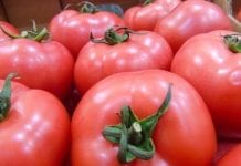 Ponad połowa bułgarskich pomidorów pochodzi z importu