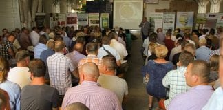 Malinowy projekt na Lubelszczyźnie