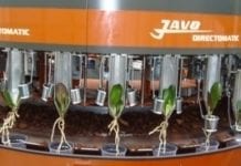 Maszynowe sadzenie storczyków