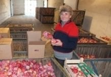 Ukraina bije rekordy importu jabłek