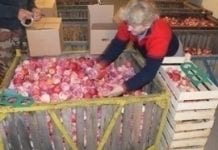 Zgoda na import jabłek z Mołdowy