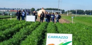 Holenderskie Dni Otwarte Monsanto