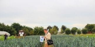Na platformach doświadczalnych w Holandii i Belgii