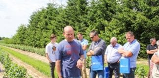 O porzeczkach w plenerze