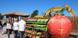 Europejskie Święto Jabłka Obrazów