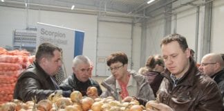 Onion Leader na Kujawach