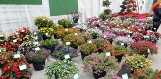 Dni Otwarte firmy Plantpol