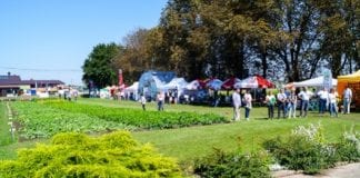 Dni Otwarte firmy Polan w Igołomii