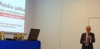 Polskie jabłka wobec wyzwań globalnego rynku