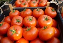 2017: Ukraina importowała mniej pomidorów, spadł też eksport