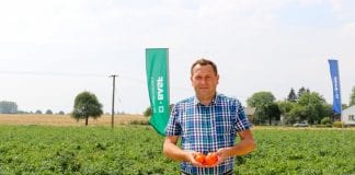 Pomidorowy pokaz na Lubelszczyźnie