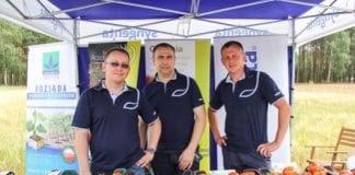 Pomidory i ogórki – nowe i sprawdzone kreacje