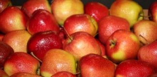 Błędne oznakowanie kraju pochodzenia warzyw i owoców w Biedronce