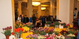 Tulipany zdobią Poznań