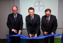Centrum Finansowo-Księgowe Bayer rozpoczyna działalność w Polsce