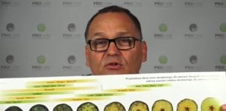 ProCam zaprasza na Europejskie Święto Jabłka