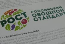 ROST – nowe standardy rosyjskiej produkcji warzyw szklarniowych