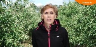 Ochrona sadu po uszkodzeniach gradowych
