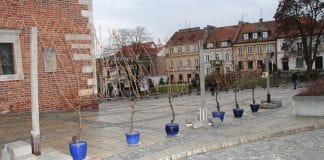 Święto w Sandomierzu