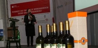 Winiarstwo na Spotkaniu Sadowniczym w Sandomierzu