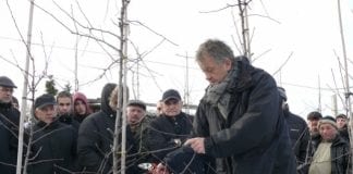 Pokaz cięcia w Sandomierzu