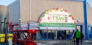 TSW 2017
