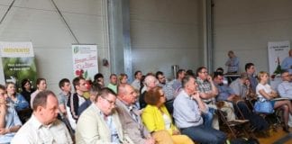 O chorobach przechowalniczych marchwi