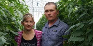 O pomidorach w Winiarkach