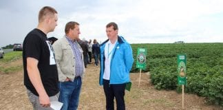 O tajnikach ziemniaczanej produkcji w Żelaznej