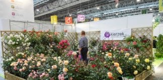 „Zieleń to Życie” 2014