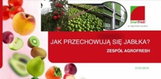 Czy warto długo przechowywać jabłka w tym sezonie?