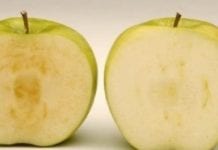 Jabłka GMO